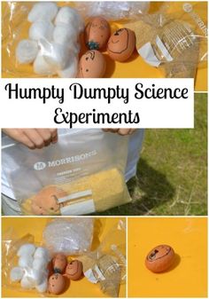 an image of humpty dumppy science experiments