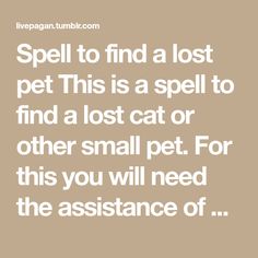 a quote that reads, spell to find a lost pet