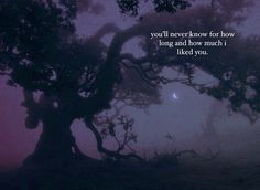 an image of a tree in the fog with a quote on it that says, you'll never know how long and how much i liked you