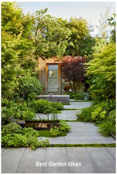 a garden with trees and bushes surrounding it