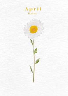 a watercolor painting of a daisy flower with the words,'apri divy '