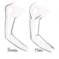 an image of two female legs with the words female and male written on them in blue ink