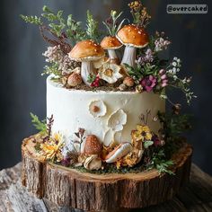 a cake decorated with mushrooms and flowers on a tree stump in front of a dark background