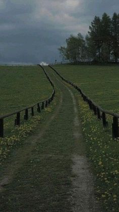 a dirt road running through a lush green field