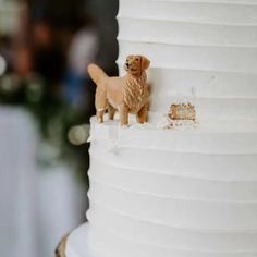 a dog figurine on top of a wedding cake