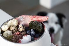 a bowl filled with different types of food next to a black and white dog