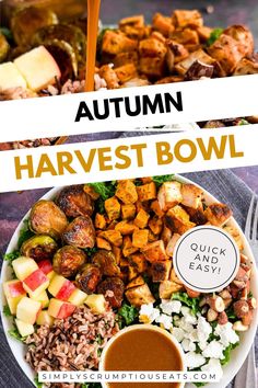 Autumn. Harvest Bowl.