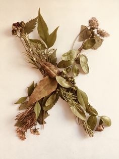 dried flowers and leaves on a white surface