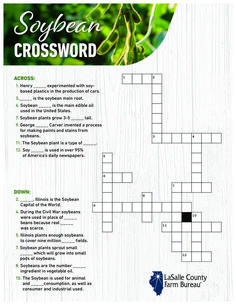 the crossword puzzle for southern crossword