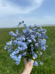 a person's hand holding a bouquet of blue flowers