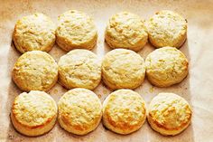 twelve freshly baked biscuits laid out on a piece of parchment paper, ready to be eaten