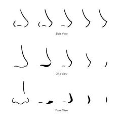 the different types of nose shapes and how they are used to make them look like noses