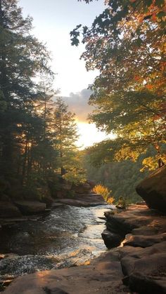 the sun shines brightly through the trees above a river running through a wooded area