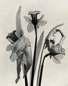 an old photo of a woman diving in the water with flowers growing out of her back