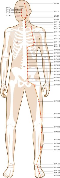 Meridian Acupuncture, Traditional Chinese Medicine Acupuncture, Meridian Points, Acupuncture Benefits, Point Acupuncture, Acupressure Points, Massage Techniques