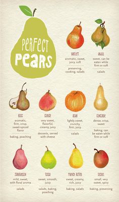 the different types of pears are shown in this poster, which shows how to eat them