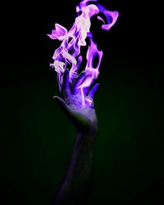 a hand with purple flames in the dark