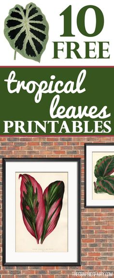 the 10 free tropical leaves printables are great for decorating and home decor