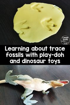 an animal toy with the words learning about trace fossils with play - doh and dinosaur toys