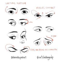 the different types of eyes and how to draw them