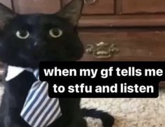 a black cat wearing a tie and saying, when my gf tells me to sit and listen