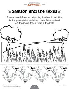 the worksheet shows how to draw an animal's habitat in this book