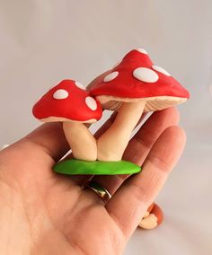 two small mushrooms sitting on top of each other in the palm of someone's hand