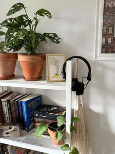 some plants and books on a shelf in a room