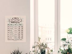 there are many potted plants on the windowsills in this room, and one has a sign that says happy birthday