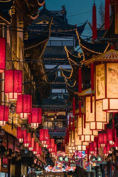 East Asian Culture, Asian Lifestyle, China Technology, Shanghai Night, Chinese Lantern Festival, City Nature