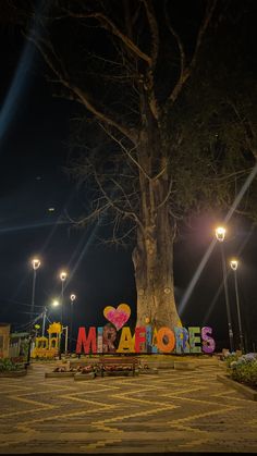 there is a large tree that has been decorated with the words miratories on it