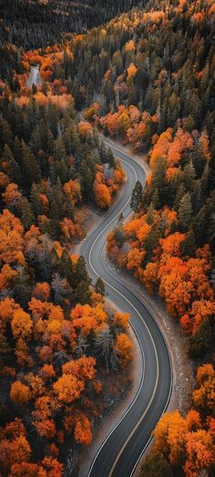 an aerial view of a winding road surrounded by trees with orange and yellow leaves on it