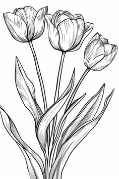 black and white drawing of flowers in a vase