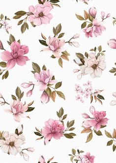 a white background with pink flowers and green leaves