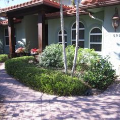 a house that has some bushes in front of it and two palm trees on the other side