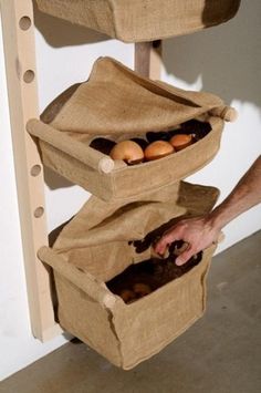 15 Best Food Storage Ideas Improving Modern Kitchen Design in Eco Style Fresh Produce Storage, Food Storage Ideas, Onion Storage, Produce Storage, Diy Shoe Rack, Fruit And Vegetable Storage, Vegetable Storage, Eco Friendly Kitchen, Diy Kitchen Storage