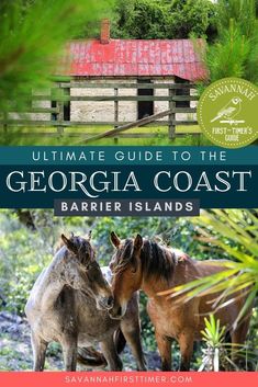 Pinnable graphic with a photo of an abandoned cabin with a faded red metal roof and two wild horses. Text overlay reads Ultimate Guide to the Georgia Coast Barrier Islands At Simons Island, Sapelo Island Georgia, Ossabaw Island, Sapelo Island, Explore Georgia, Georgia Travel Guide