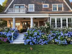 a house with blue and white flowers in the front yard