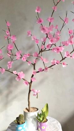 a small tree with pink flowers in two pots on a table next to a potted plant