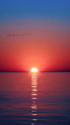 the sun is setting over the ocean with birds flying in the sky