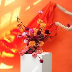 a woman arranging flowers in a white vase on an orange and pink background with red accents