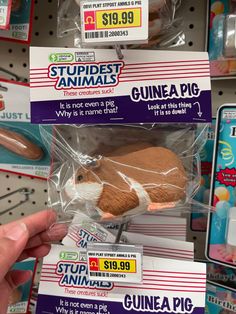 the stuffed animal guinea pig is for sale at toys r us and it's cost $ 19 99