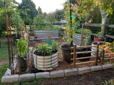 a garden filled with lots of different types of vegetables and plants in metal tubs