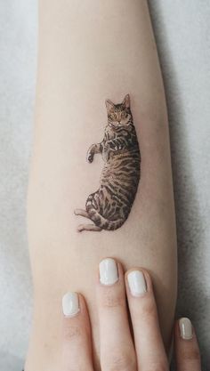 a woman's arm with a cat tattoo on it