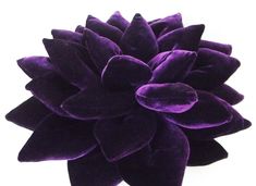 a large purple flower on a white background