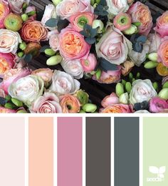 a bunch of flowers that are on top of a wooden table with color swatches