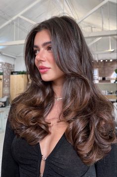 Brown Hair Looks, Brown Hair Inspo, Brunette Hair With Highlights, Hairstyles For Layered Hair, Brown Hair Balayage, Blowout Hair, Long Brown Hair, Balayage Brunette, Hair Breakage