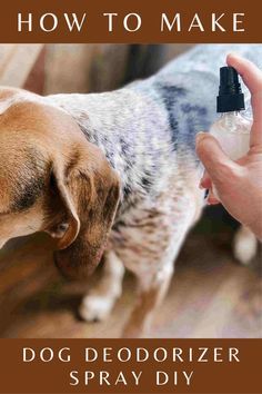 a dog with its mouth open next to a hand holding a spray bottle that says how to make