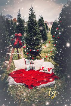 a christmas tree farm with red and white pillows