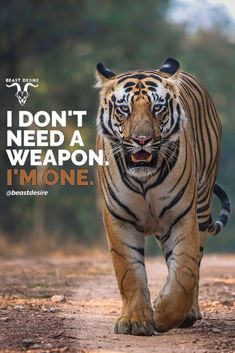 Spine Tattoo Quotes Inspiration, Tiger Quotes Inspiration, Animal Motivation, Tiger Attitude, Instant Motivation, Spine Tattoo Quotes, Lion Warrior, True Lies